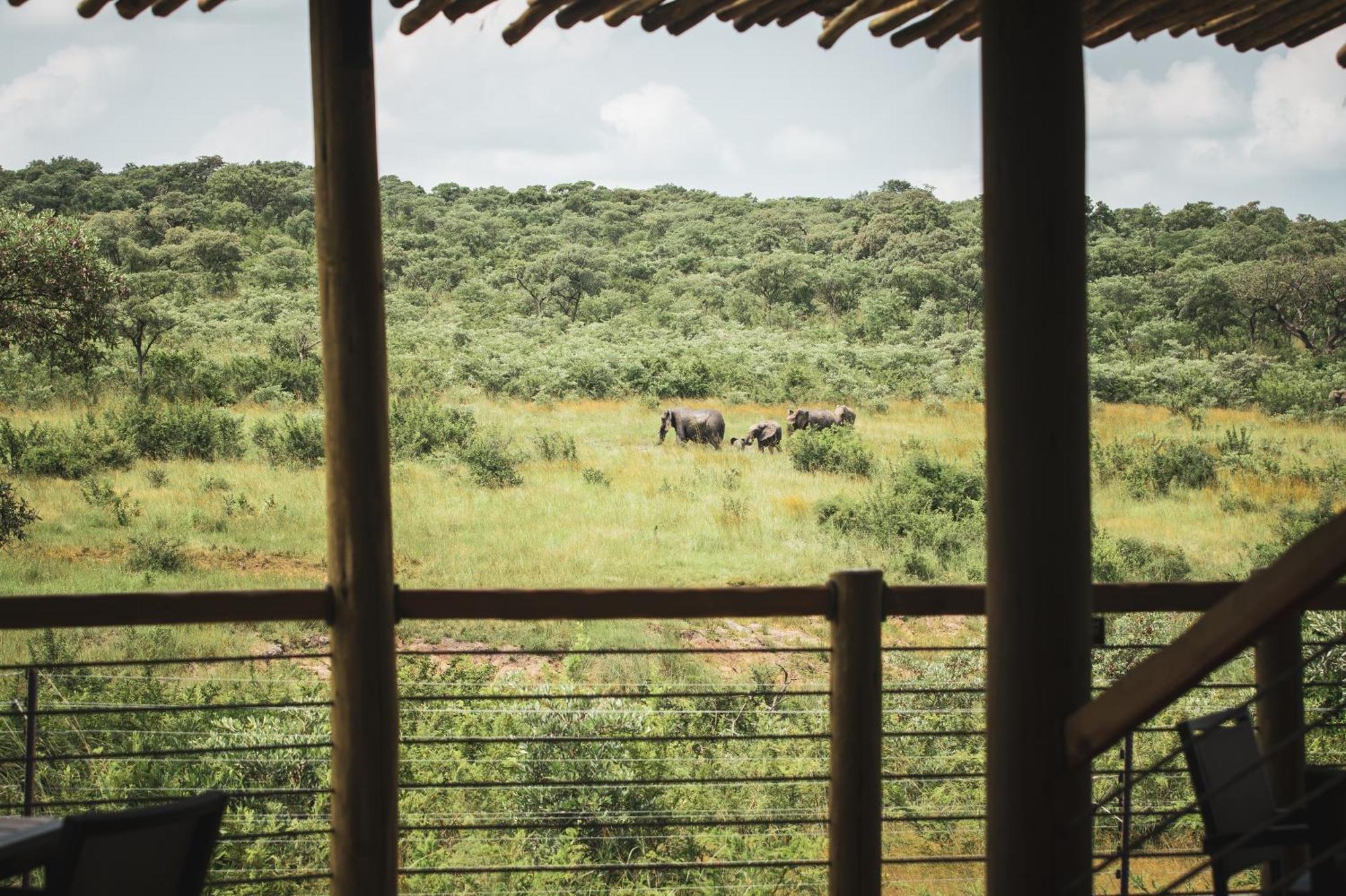 Mdluli Safari Lodge Hazyview Eksteriør billede